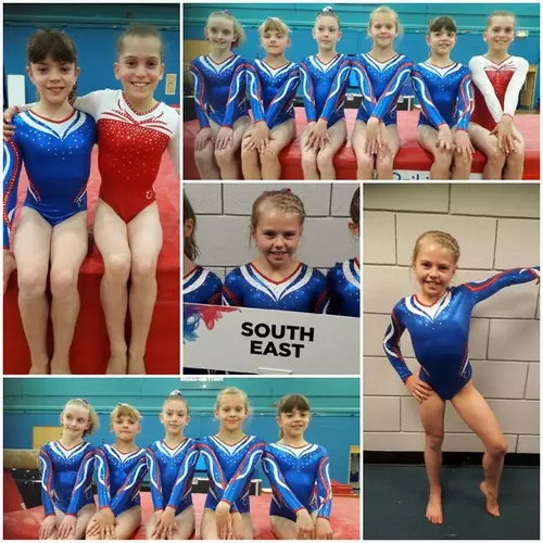 Gymnastics Competition Results